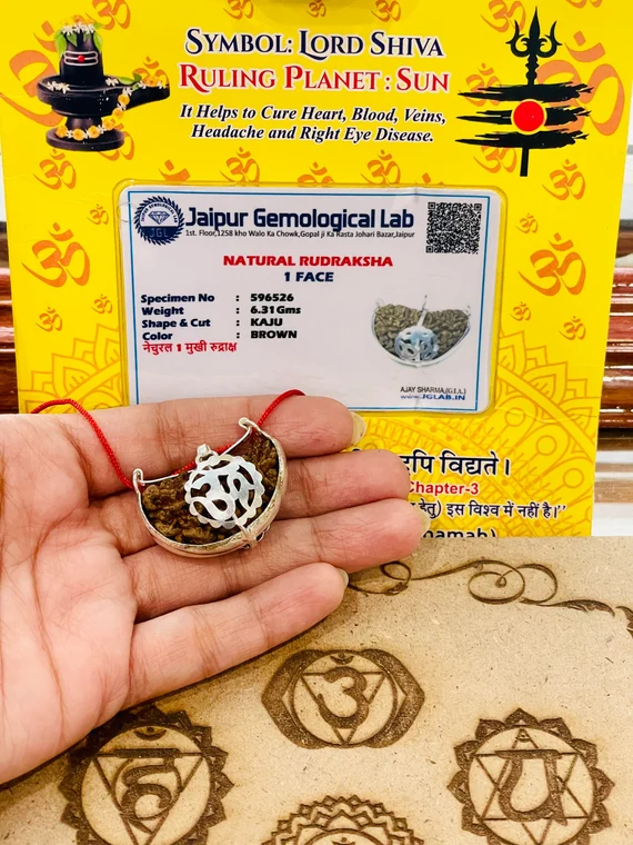 Premium One Mukhi Rudraksha – Lab Certified