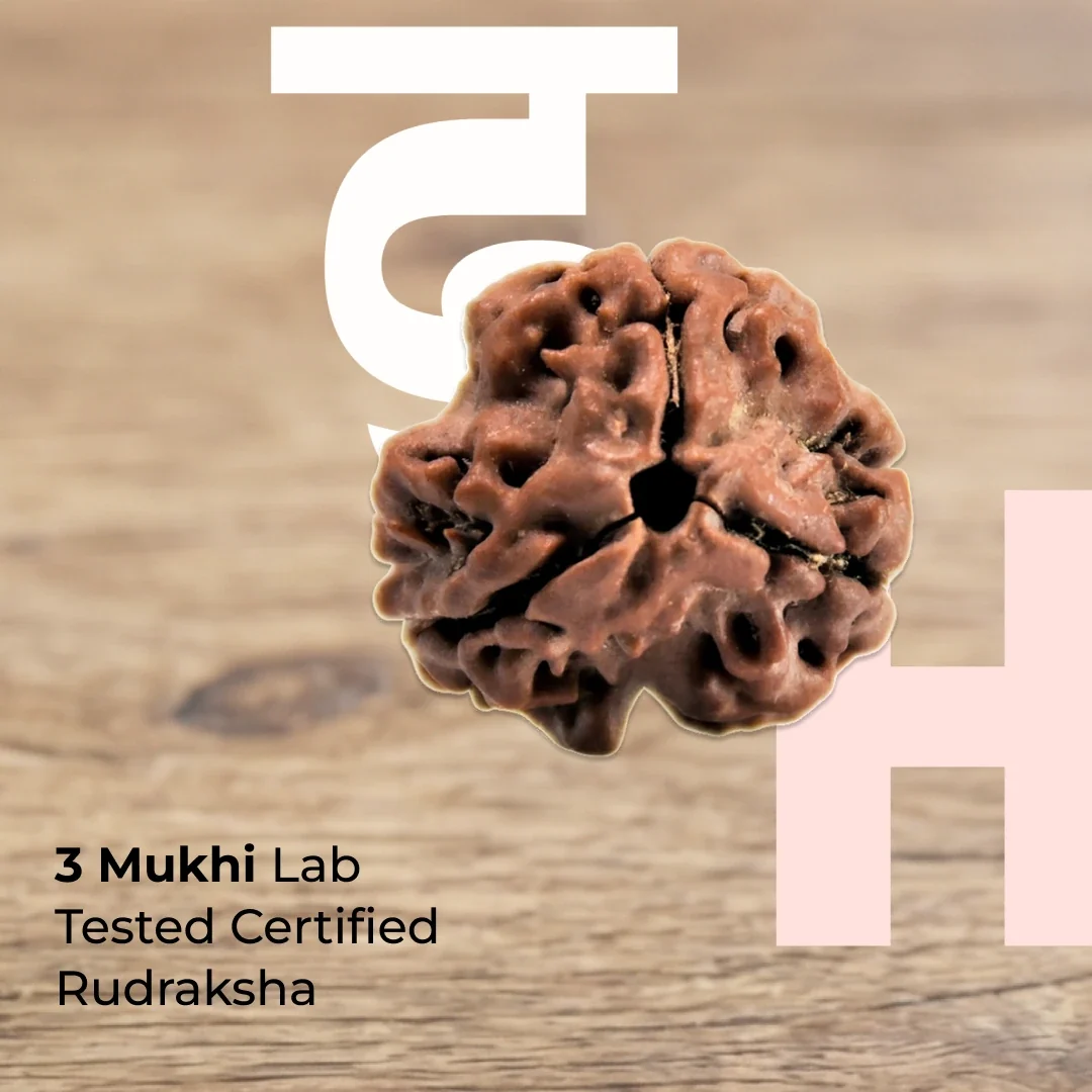 Three Mukhi Rudraksha – Lab Certified