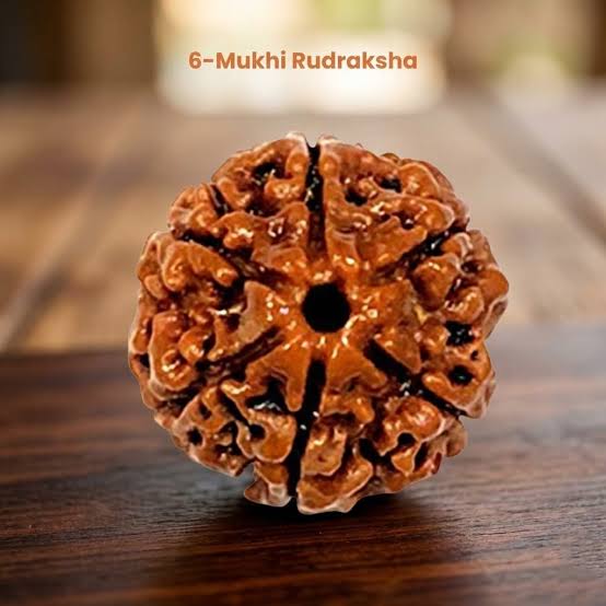 Six Mukhi Rudraksha – Lab Certified