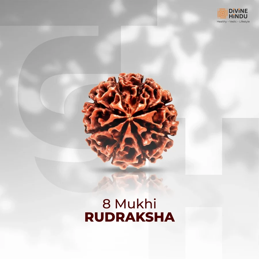 Eight Mukhi Rudraksha – Lab Certified