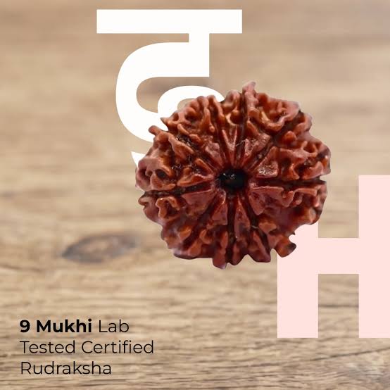 Nine Mukhi Rudraksha – Lab Certified