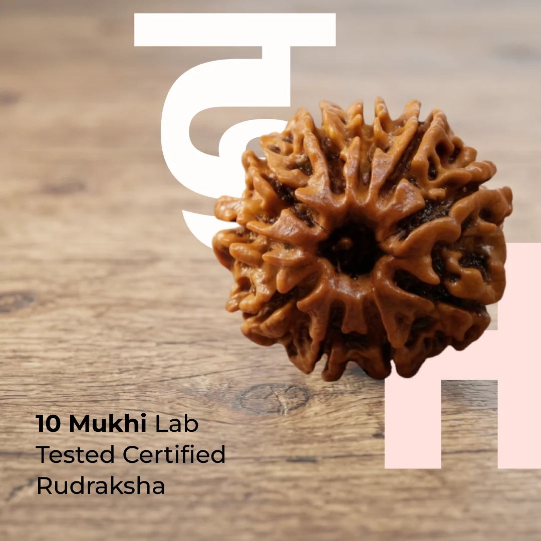 Ten Mukhi Rudraksha – Lab Certified