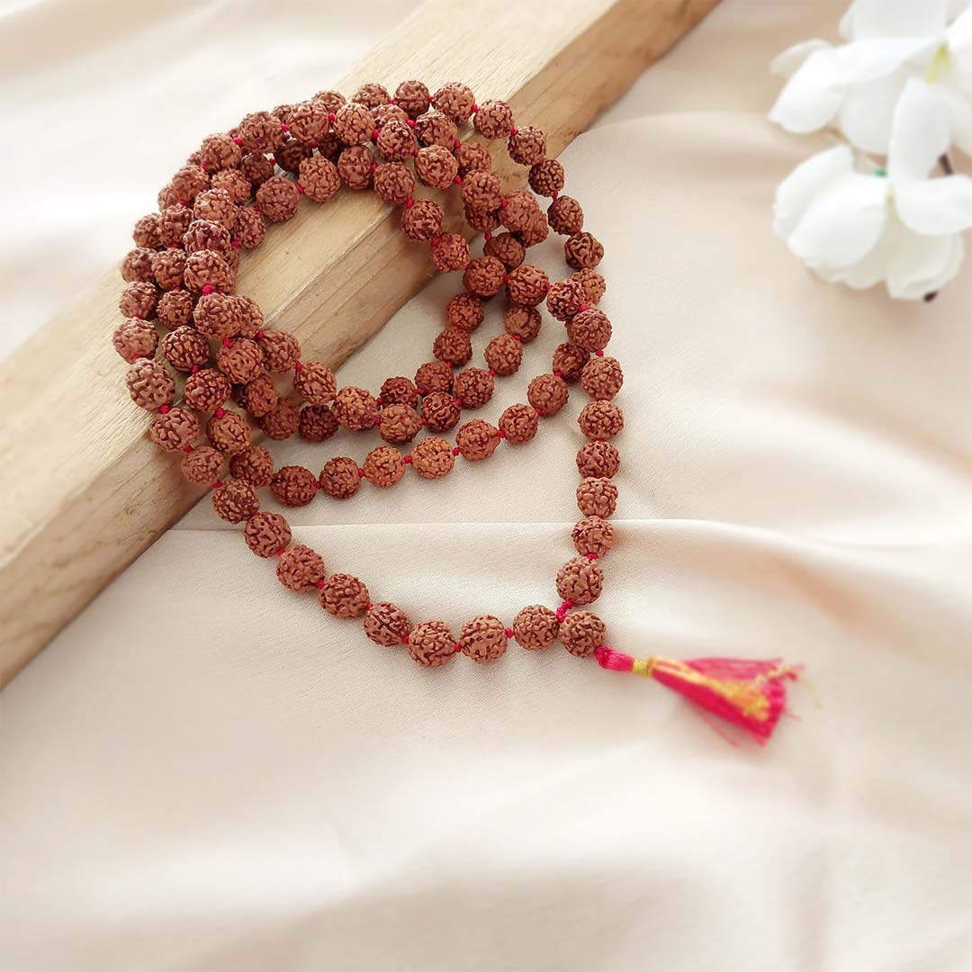 5 Mukhi Rudraksha